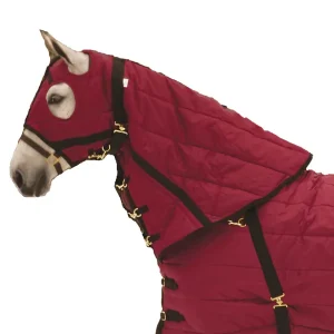 Snuggie Heavyweight Quilted Hood