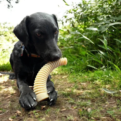 SodaPup Antler Dental Chew - Image 2