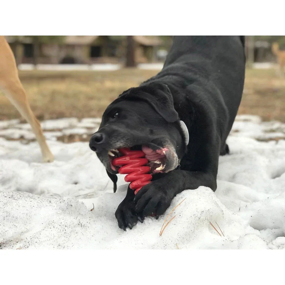 SodaPup Christmas Tree Ultra Durable Nylon Chew - Image 2