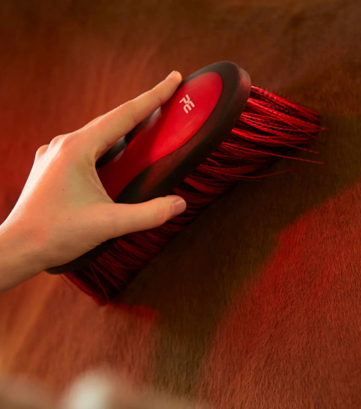 Soft-Touch Dandy Brush - Long Bristles Orange & Amber - Image 2