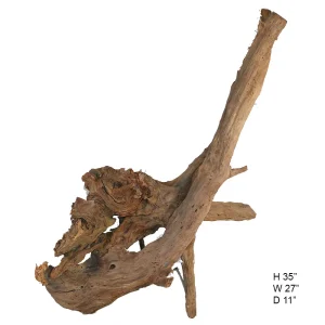 SOLD - Malaysian Driftwood, Super WYSIWYG 35" x 27"