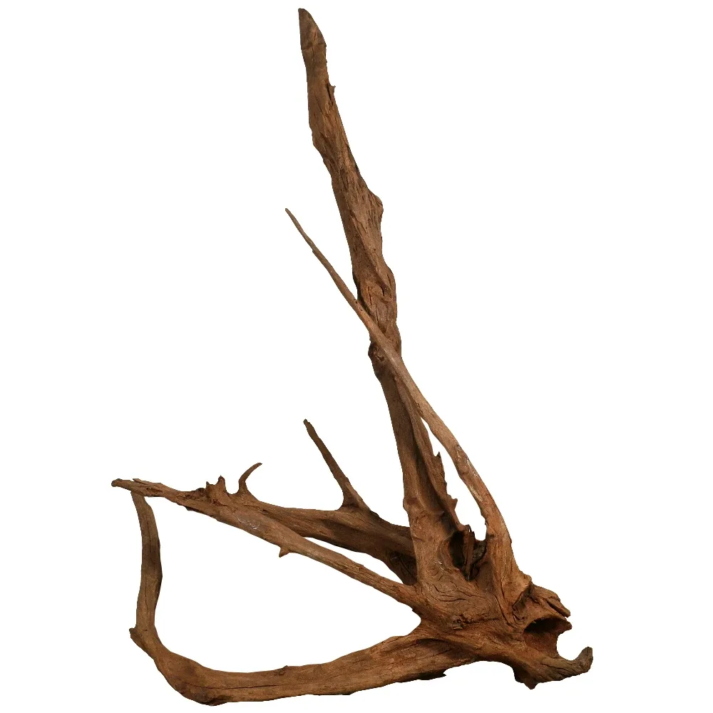SOLD - Malaysian Driftwood, Super WYSIWYG 55" x 42"