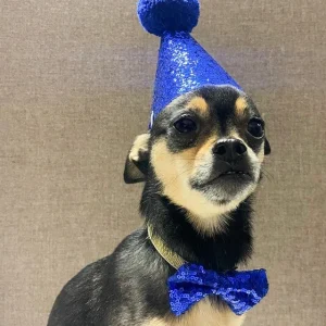 Sparkle Party Hat & Bow Tie Set in Royal Blue