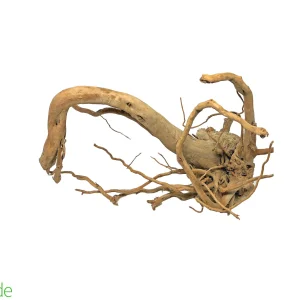 Spider Wood Branch