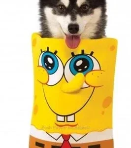 Spongebob Dog Costume
