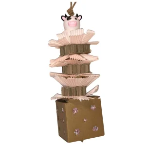 Spring Foraging Box Bird Toy