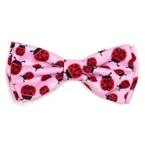 Spring Lady Bug Bow Tie
