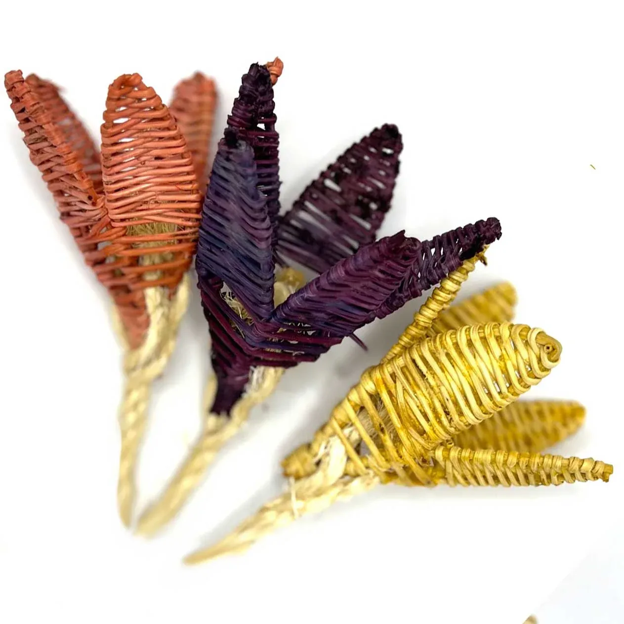 Spring Tulip Trio | Seasonal