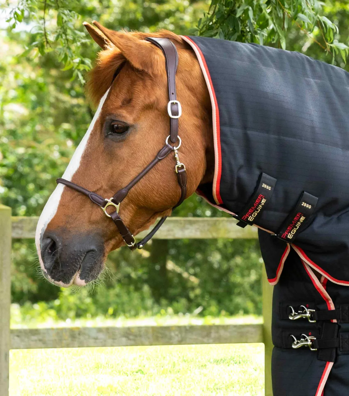 Stable Buster 450g Stable Rug with Neck Cover Black - Image 2