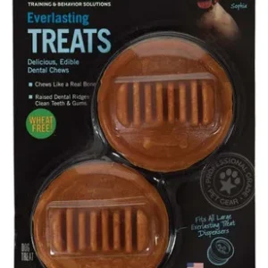 Starmark Everlasting Bacon Flavor Treats Large 1 count