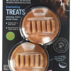 Starmark Everlasting Bacon Flavor Treats Medium