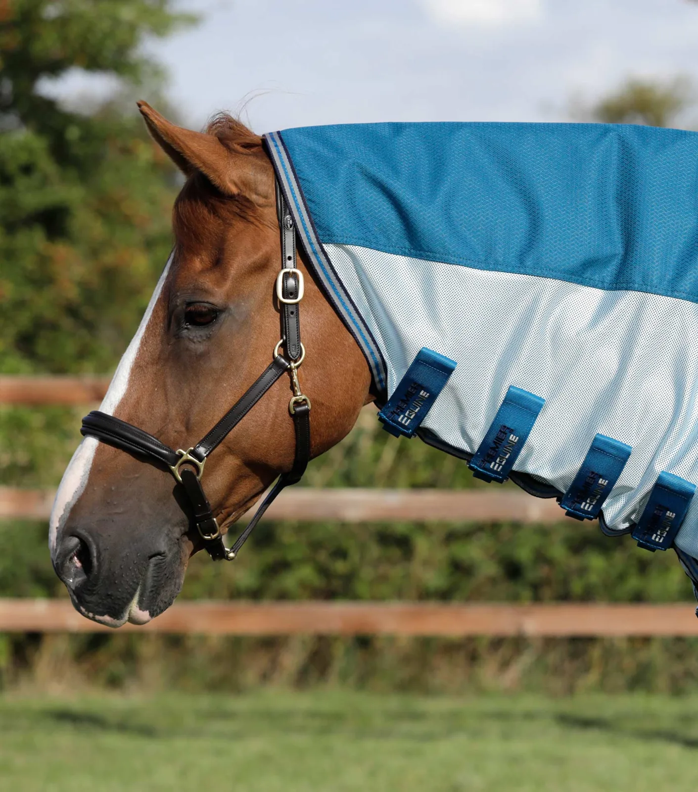 Stay-Dry Mesh Air Fly Rug with Surcingles Blue - Image 2