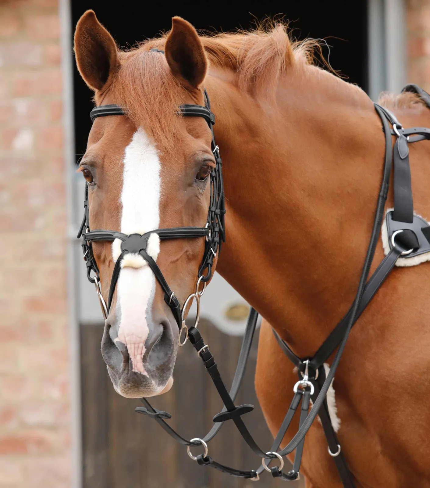 Stefano Rubber Reins Black - Image 2