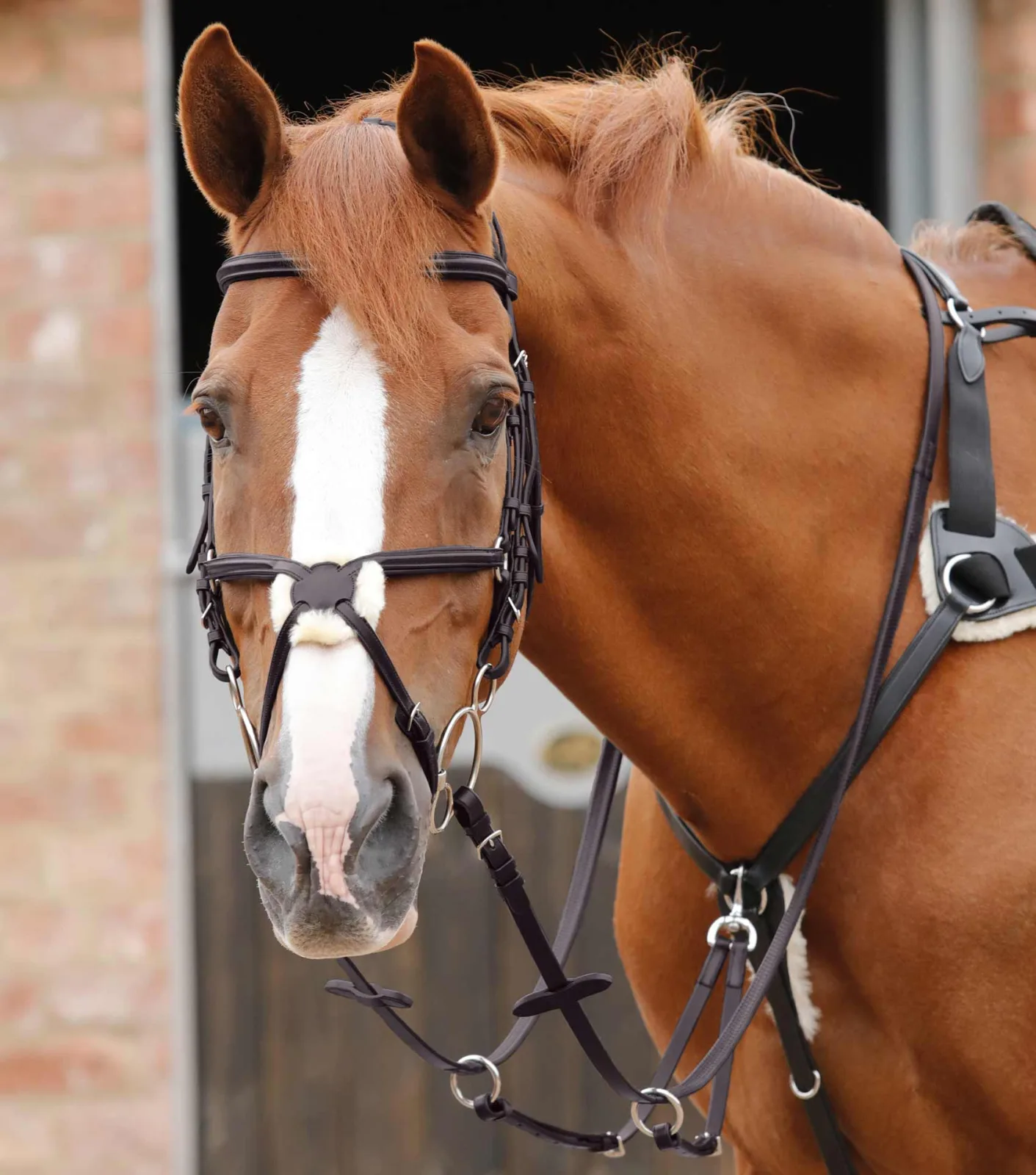 Stefano Rubber Reins Brown - Image 2