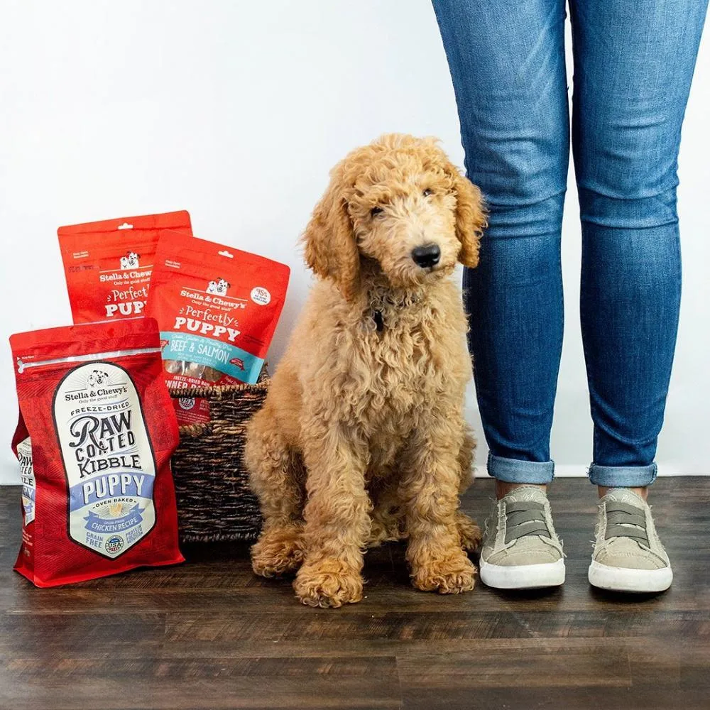 Stella & Chewy's Raw Coated Kibble Cage Free Chicken Recipe Puppy Dry Dog Food - Image 2