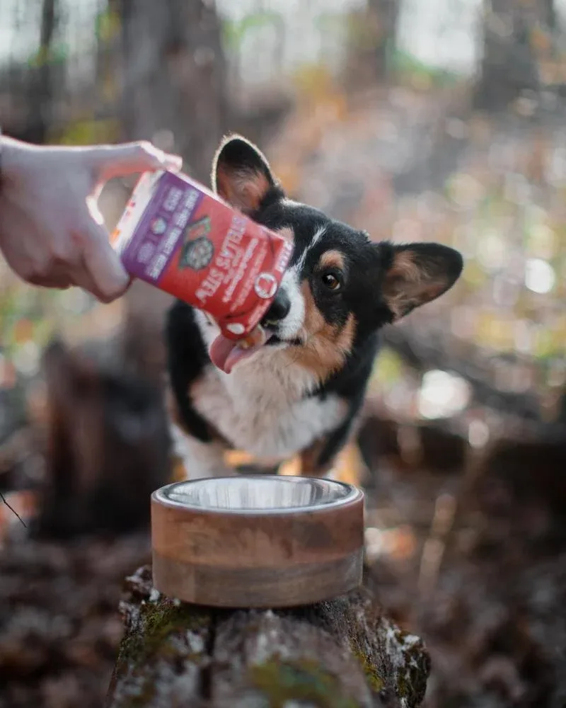 Stella & Chewy's Stella's Stew Cage Free Turkey Recipe Food Topper for Dogs - Image 2