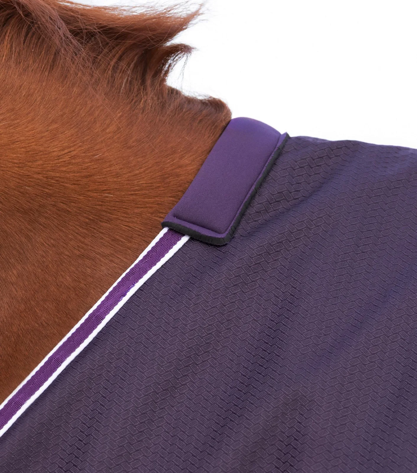 Stratus 600D Series 0g Original Turnout Rug Purple - Image 2