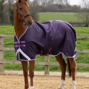 Stratus 600D Series 0g Original Turnout Rug Purple