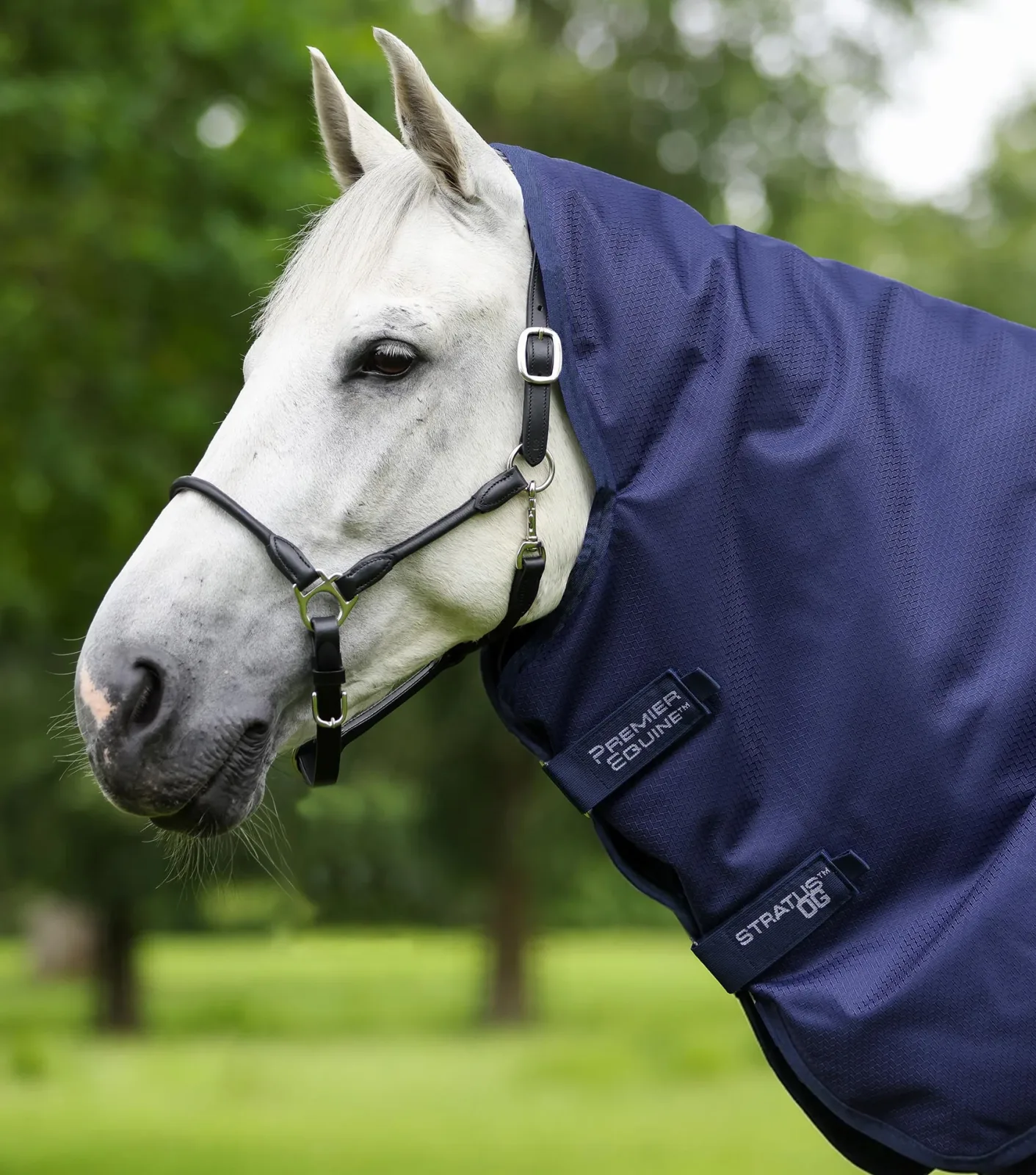 Stratus 600D Series 0g Turnout Rug with Classic Neck Cover Navy - Image 2