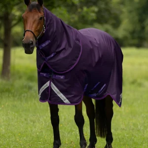 Stratus 600D Series 0g Turnout Rug with Classic Neck Cover Purple