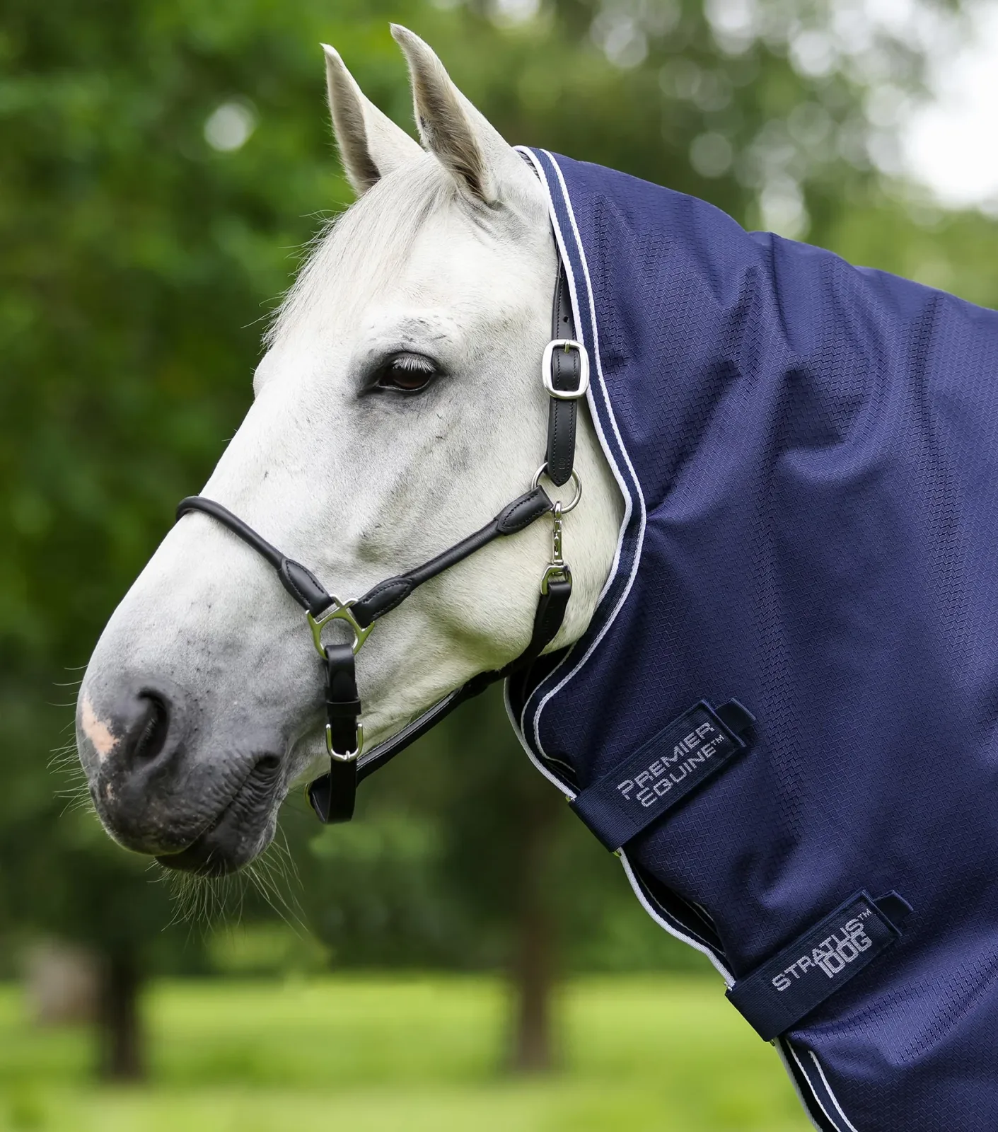 Stratus 600D Series 100g Turnout Rug with Classic Neck Cover Navy - Image 2