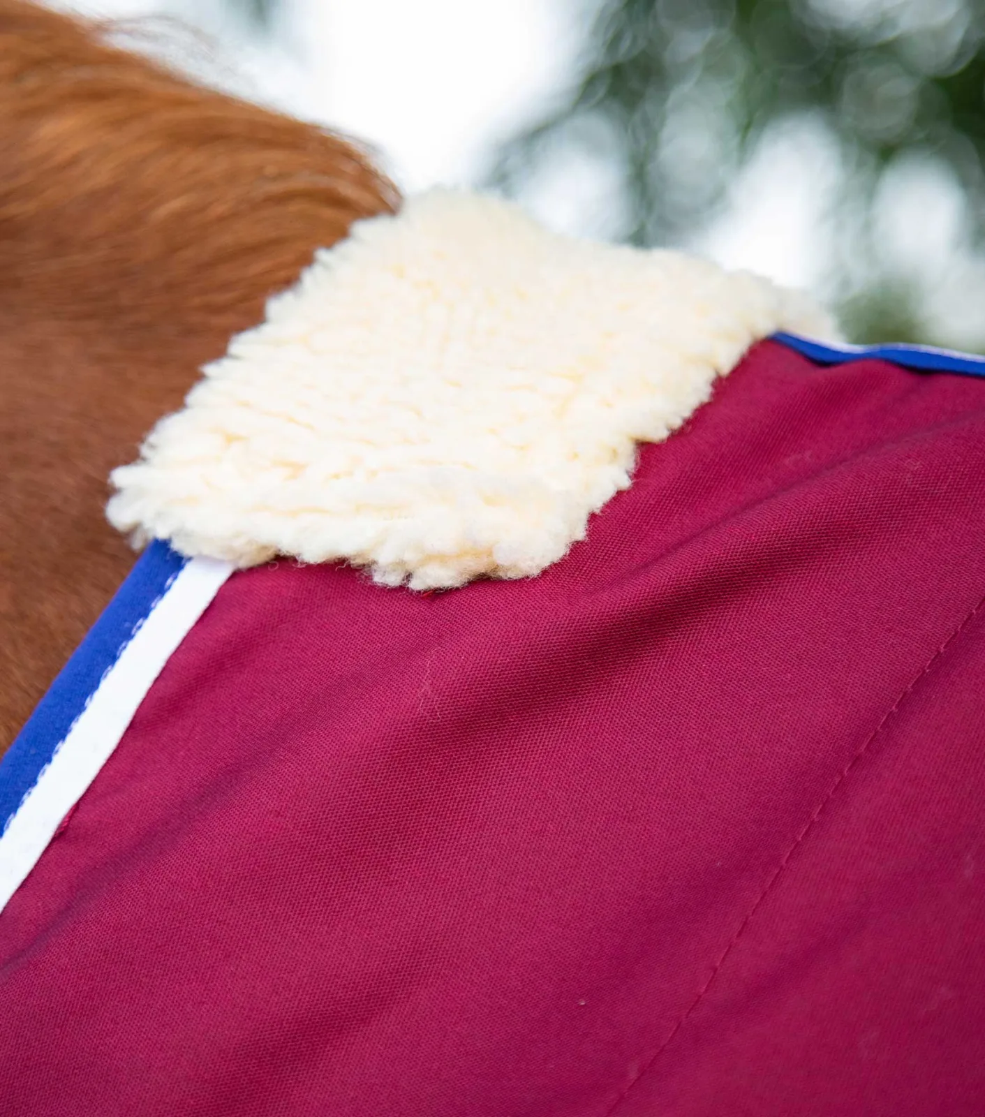 Stratus Horse Stable Sheet Burgundy - Image 2