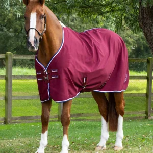 Stratus Horse Stable Sheet Burgundy