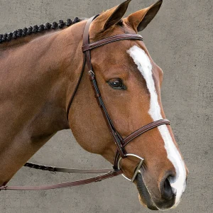 Suffolk™ Classic Hunter Bridle