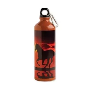 Sunset On The Beach Aluminum Sports BottleBk/Wh
