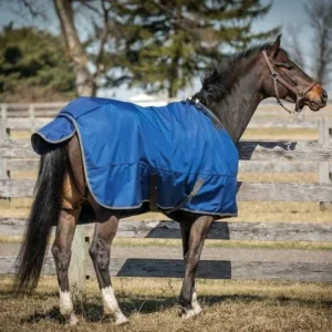 Super Hug 360g Hvy 2520D TO Blanket
