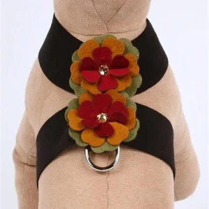 Susan Lanci Autumn Flowers Tinkie Harness
