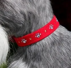 Susan Lanci Crystal Paws Ultrasuede Collars in Many Colors - Image 2