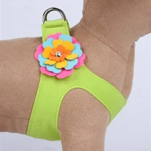 Susan Lanci Fantasy Flower Collection Step-In Harness - Kiwi