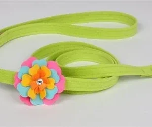Susan Lanci Fantasy Flowers Collection in Kiwi