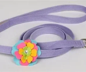Susan Lanci Fantasy Flowers Collection Leash in Lavender