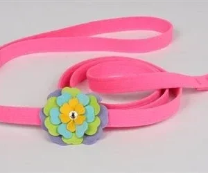 Susan Lanci Fantasy Flowers Collection Leash in Perfect Pink