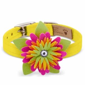 Susan Lanci Island Flower Collection 1/2" Collar- Many Colors