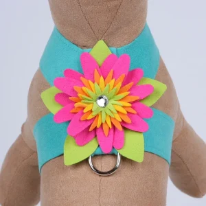 Susan Lanci Island Flower Collection Tinkie Harness-Many Colors