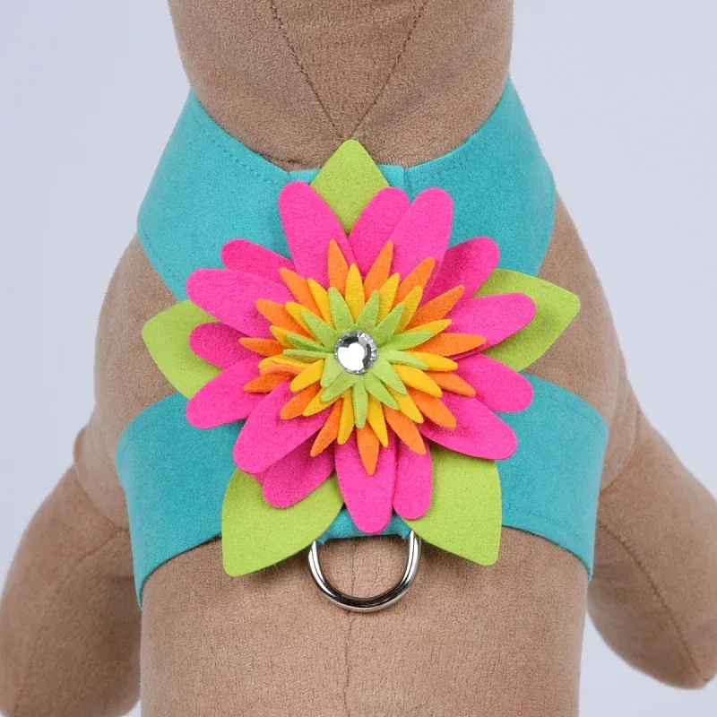 Susan Lanci Island Flower Collection Tinkie Harness-Many Colors