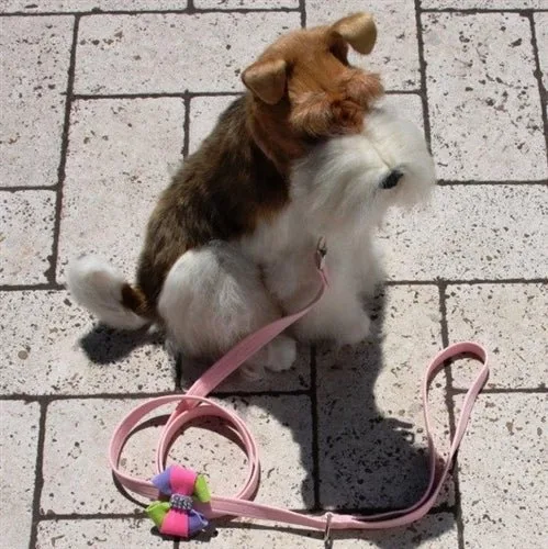 Susan Lanci Madison Bow Tinkie Harness - Image 2