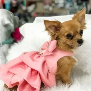 Susan Lanci Madison Dress - Puppy Pink