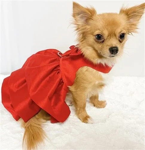 Susan Lanci Madison Dress - Red Pepper - Image 2