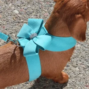 Susan Lanci Nouveau Bow Tinkie Harnesses in Many Colors