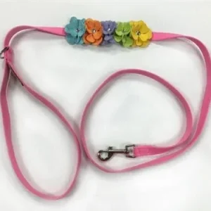 Susan Lanci Rainbow Tinkies Garden Dog Leash