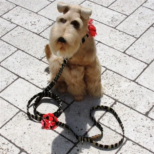 Susan Lanci Sarah Tinkie Harness - Image 2