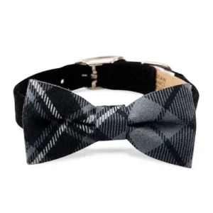 Susan Lanci Scotty Collar Charcoal Plaid