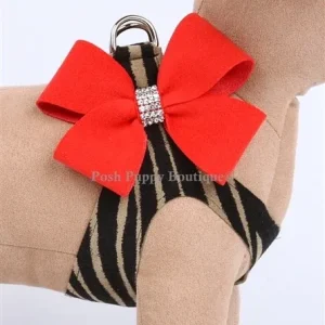 Susan Lanci Serengeti with Red Pepper Nouveau Bow Step-In Harnesses