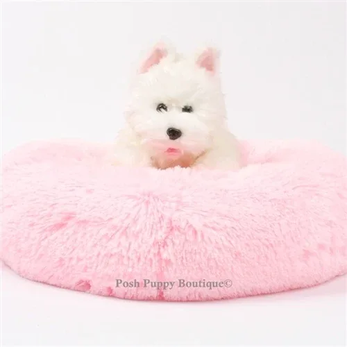 Susan Lanci Shag Bed - Cream - Image 2