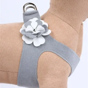 Susan Lanci Special Occasion Step-In Harness- Platinum