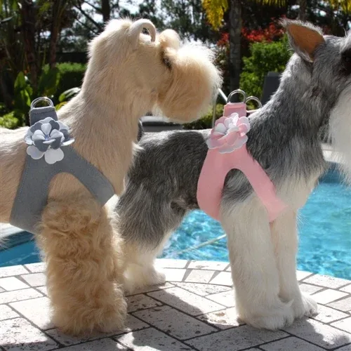Susan Lanci Special Occasion Step-In Harness- Puppy Pink - Image 2